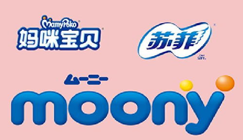 看準(zhǔn)網(wǎng)